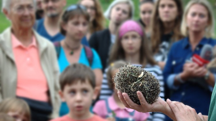 Zástupci města vypouštěli ježky zpět do volné přírody